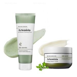 Bundle New 2x Korean Bring Green Artemisia pH Foam Cleanser + Cream K-Beauty